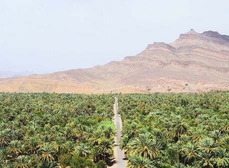 Draa Valley, Morocco