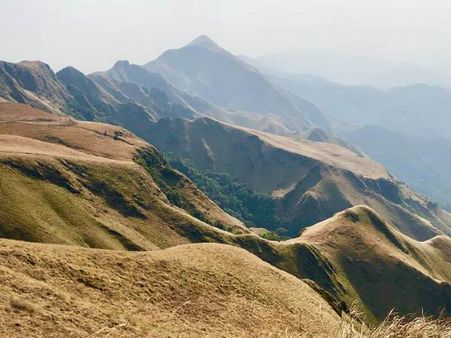 Experience the Mount Nimba Strict Nature Reserve 