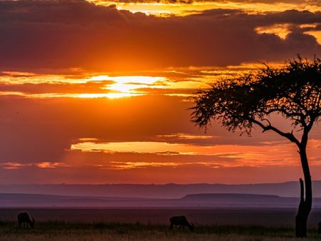 The Masai Mara – Kenya 