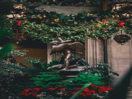 The Biltmore is the Largest Privately Owned Residence in America