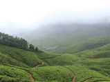 कोलुकुमलाई-दुनिया का सबसे ऊँचा चाय बगान 