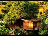 हनीमून हो या छुट्टियाँ..ट्री हाउस में सब होगा शानदार और यादगार 