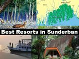 सुंदरवन की सैर के दौरान इन लग्जरी रिजॉर्ट्स का लें आनंद  