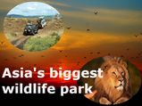 उत्तर प्रदेश में बनकर तैयार हुआ एशिया का सबसे बड़ा वाइल्डलाइफ सफारी पार्क 