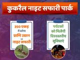 इस शहर में विकसित होगा देश का पहला Night Safari Park, पर्यटन में लगाएगा चार-चांद