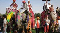 जयपुर हाथी महोत्सव 2024 : खास अंदाज में संवरते हैं गजराज, होता है दंगल, जानिए Date और लोकेशन 