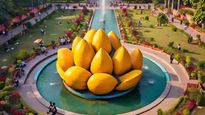 लखनऊ में बनेगा आम की थीम पर अनोखा पार्क और म्यूजियम, जानिए कहां और कब होगा उद्घाटन!