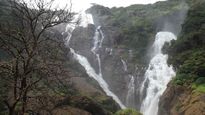 गोवा का दूधसागर वाटरफॉल : मानसून खत्म होने के बावजूद अभी तक पर्यटक नहीं जा पा रहे घूमने, क्यों?