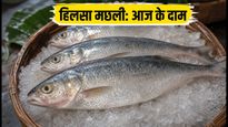 कोलकाता में मानसून का असली स्वाद: हिलसा मछली खरीदने के लिए बेस्ट मार्केट और आज के दाम