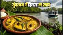 मानसून में सुंदरबन का जादुई सफर: हिलसा फेस्टिवल क्रूज पर मिलेगा लजीज स्वाद और रोमांच