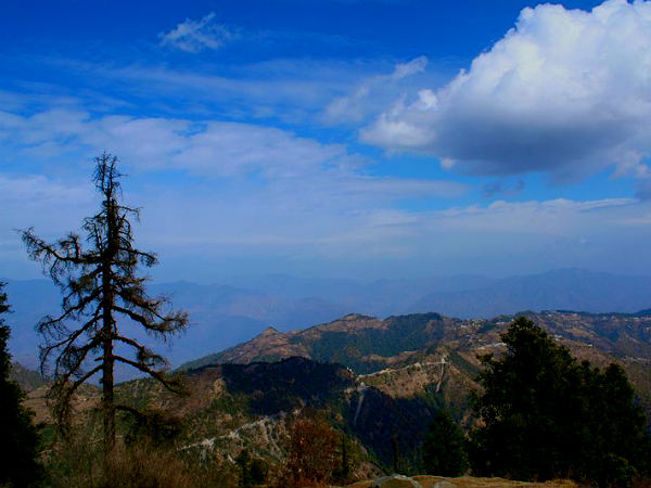 धनौल्टी - उत्तराखंड