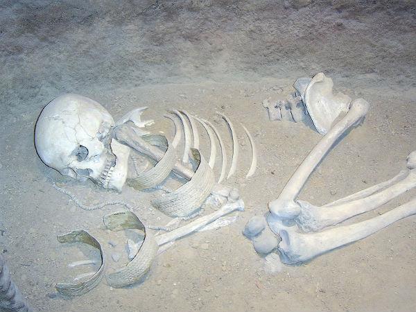 क्या कंकालों से डरते हैं आप