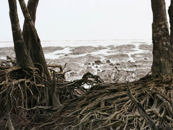  प्रकृति की गोद में