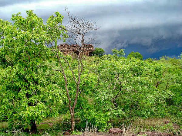 भीमबेटका की गुफाएं