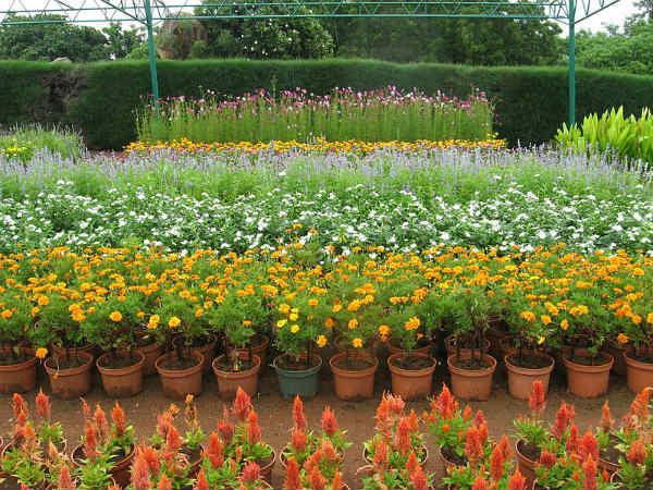 रामोजी फ़िल्म सिटी को जानें गहराई से 