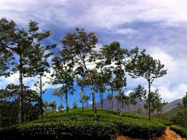 राजमाला