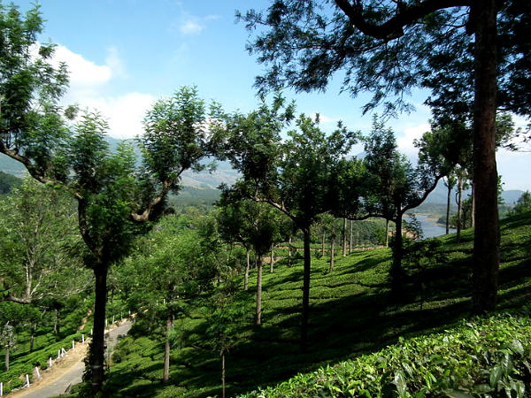 अनायिरंकल