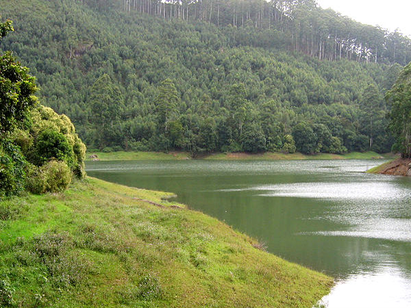 इको पॉइंट