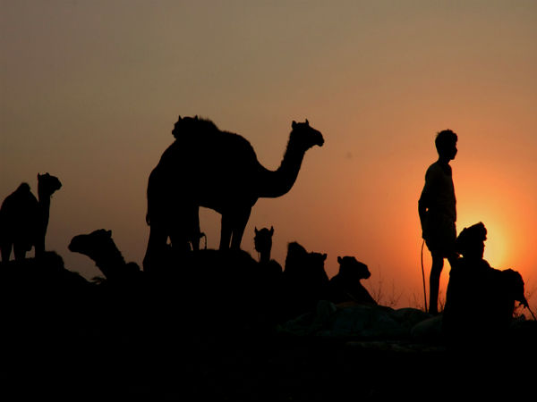 पुष्कर में सनसेट 