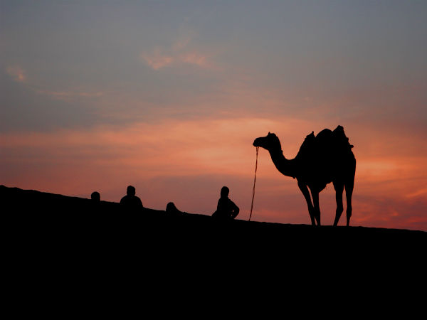 जैसेलमेर में सनसेट