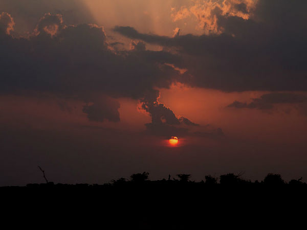 जैसलमेर में सनसेट 