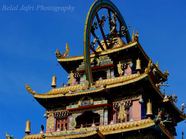 डे 1 - दूबारे फॉरेस्ट, बाइलाकुप्पे