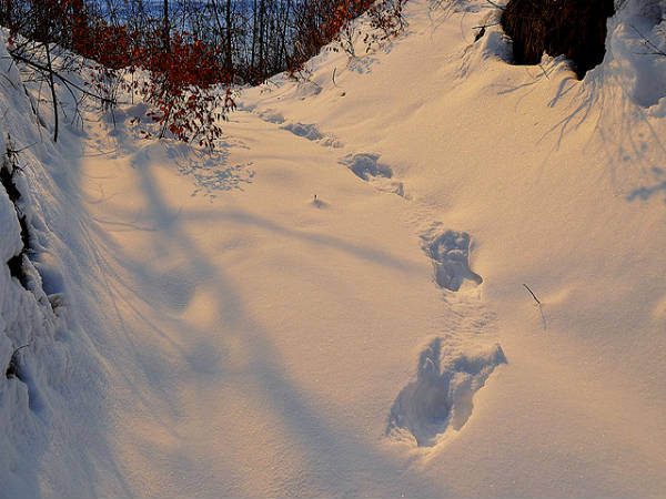 रूपकुंड झील जहां आज भी निकलते हैं कंकाल 