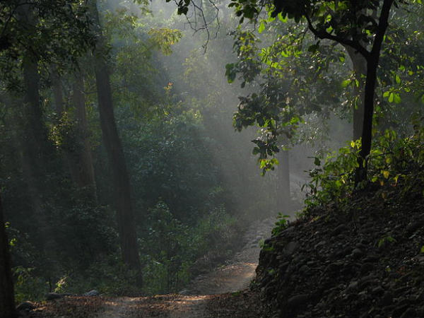 हाथी पर सफारी