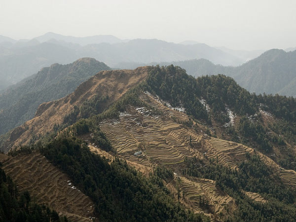 धनौल्टी