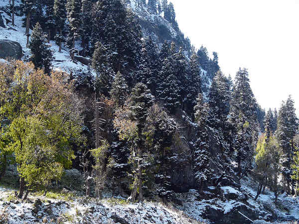 चंदनवारी चंदनवारी