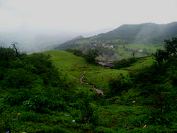  पूर्णा वन्यजीव अभयारण्य