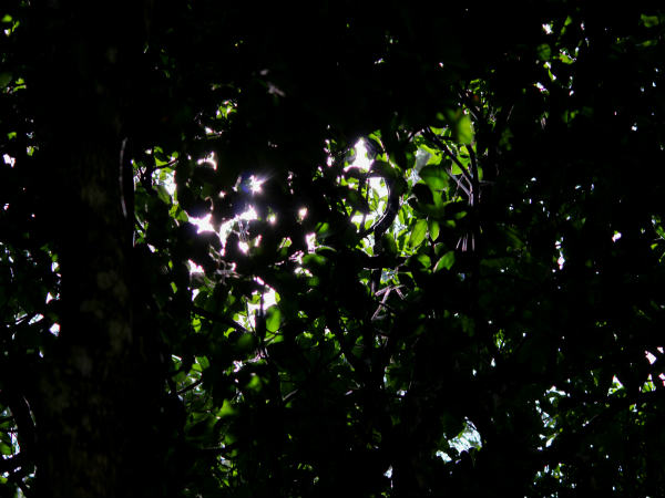 नंदी हिल्स में सनराइज