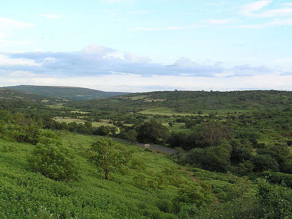 श्रीगाँवकर झरना