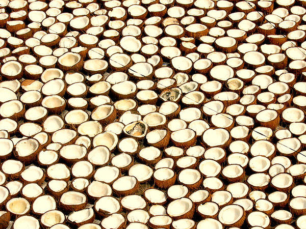  नारियल क्लस्टर ऐसी तस्वीर जो कर दे आपको मंत्र मुग्ध।