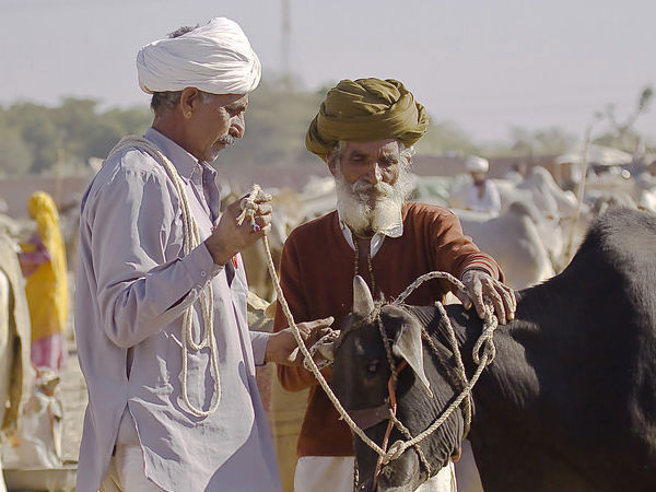 पशु मेला