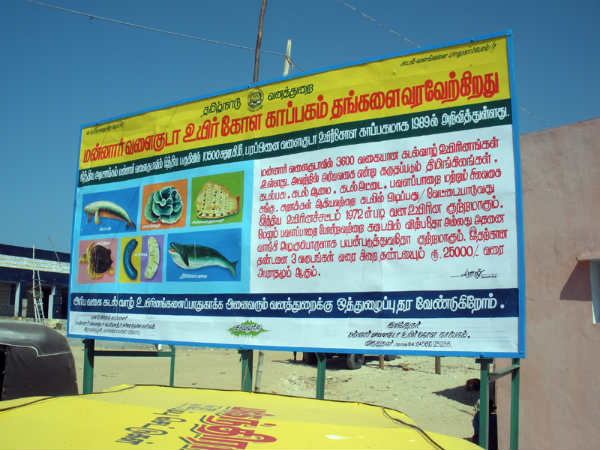 मन्‍नार समुद्री अभयारण्य