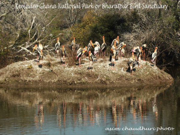 पक्षी विहार एवं केवलादेव घाना राष्ट्रीय उद्यान