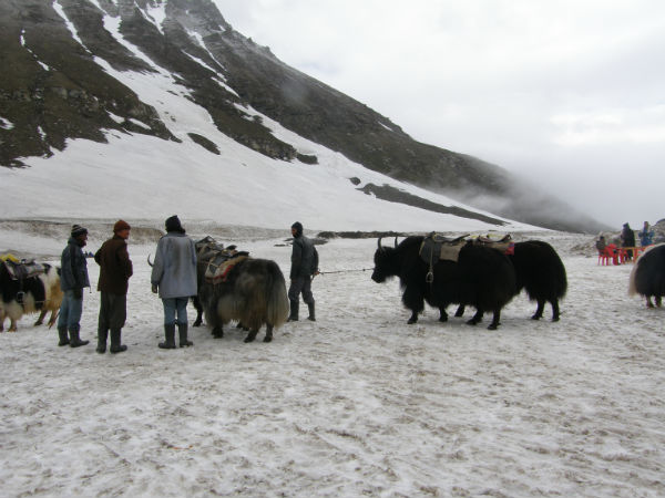 रोहतांग 