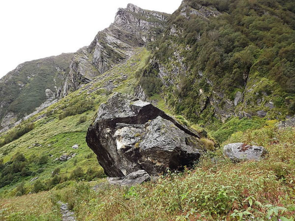 फूलों की घाटी और रॉक 