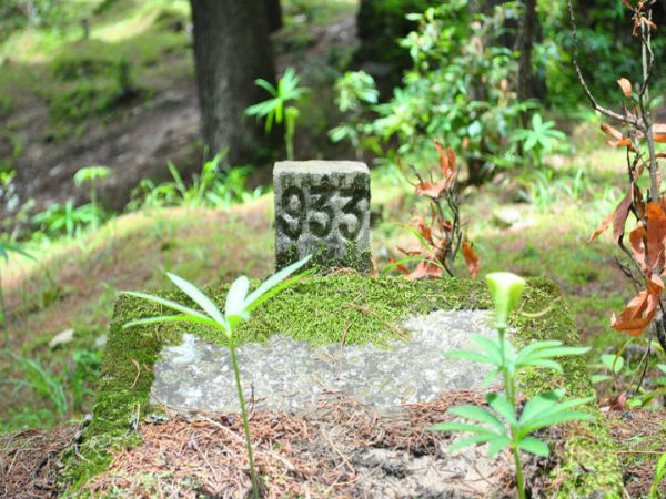 दूनागिरि 