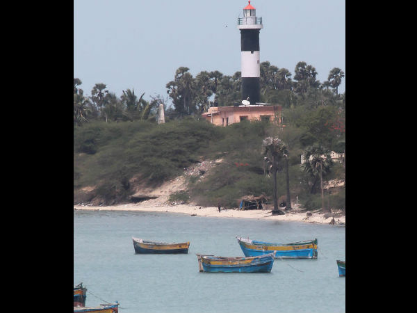 कोरल रीफ 