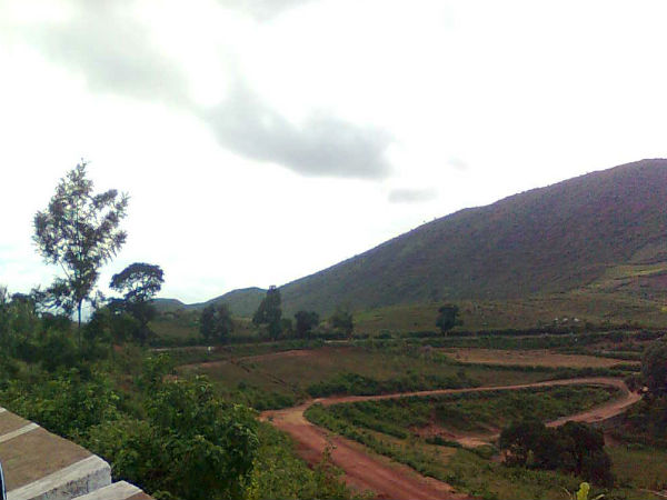 अराकू घाटी 