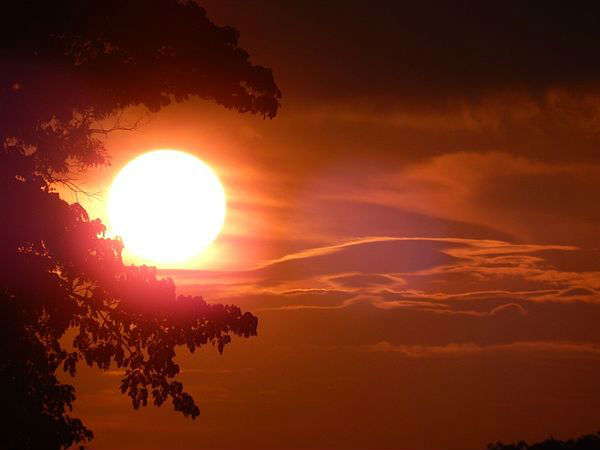 बालीघाई