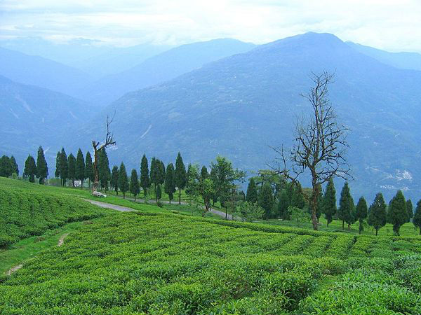 रावांगला 