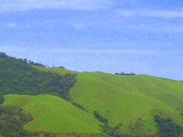 बाबा बुदनगिरी