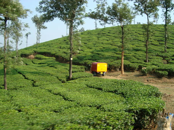 कलपेट्टा