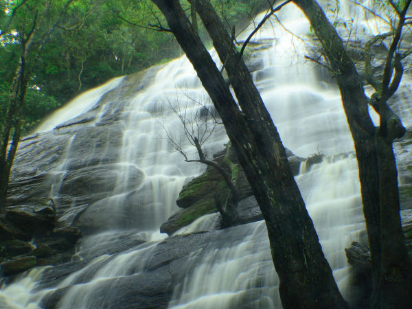 साउथ का गहना: यरकौड