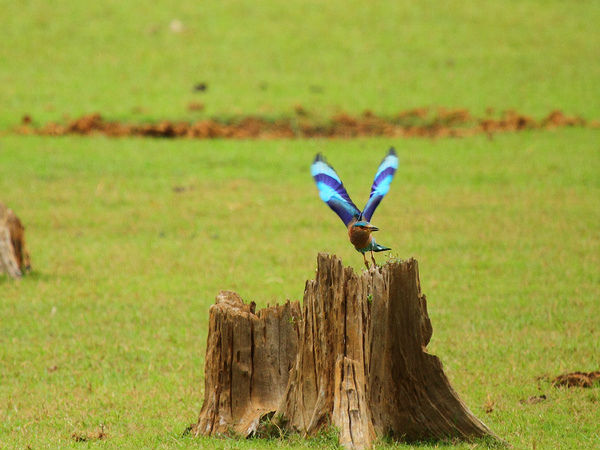 विज़ीट करने का सही समय