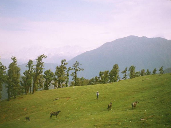 Tungnath Bugyal