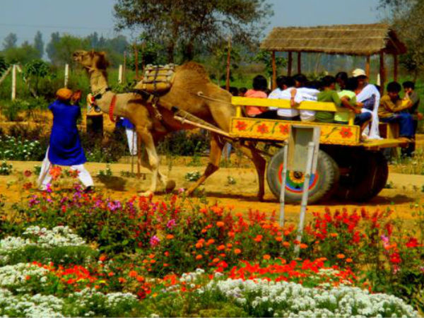प्रतापगढ़ फार्म्स
